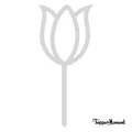 Topper piker Tulipan