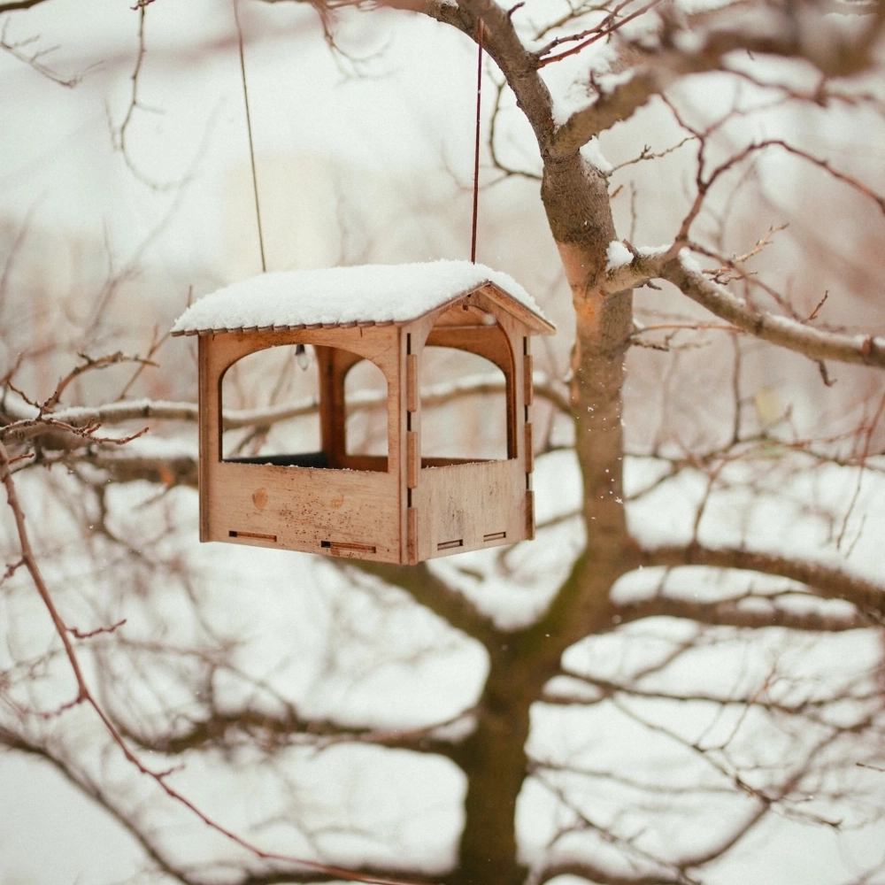 Karmnik budka dla ptaków na drzewie